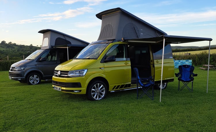 Camping-car vw de luxe 2019 automatique basé à Cockermouth