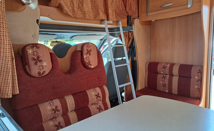 Kempie – Fine Chausson Ford - 2009 - 6 cinture