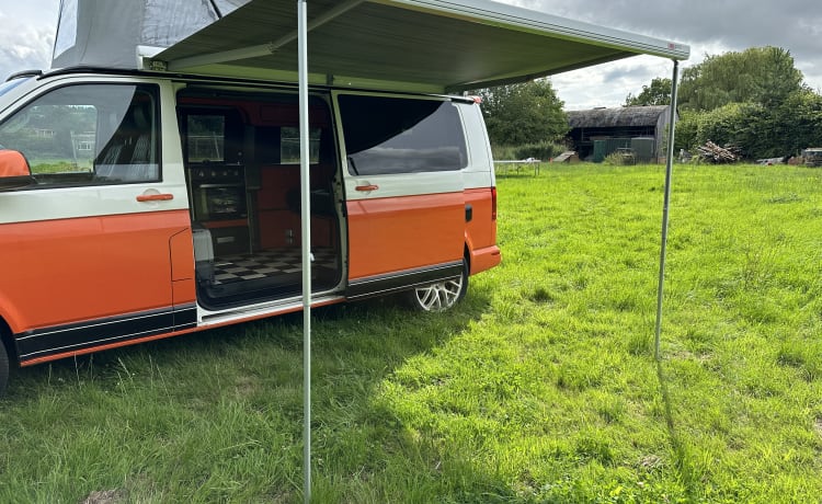 Dougie – Premium LWB VW Campervan - De nombreux extras !