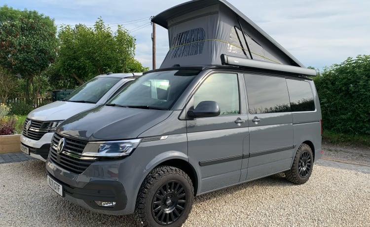 Dougal – VW T6.1