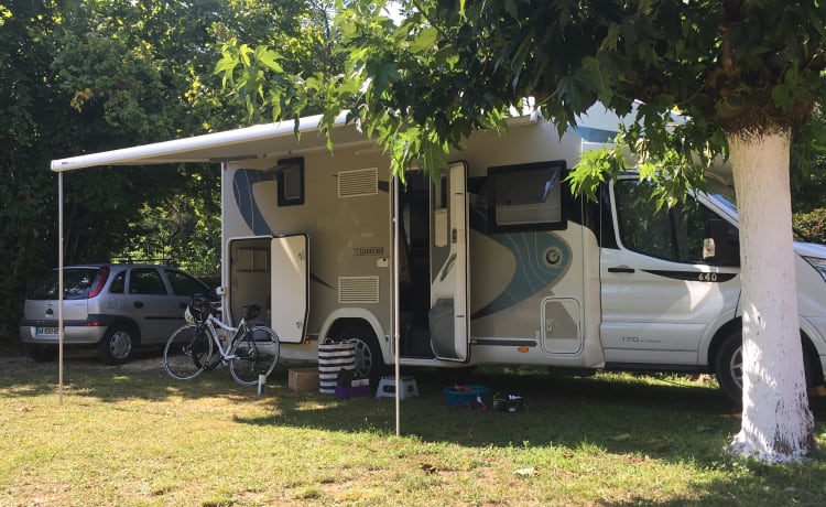 Trampie – Camping-car spacieux pour 2 ou 4 personnes, animaux acceptés