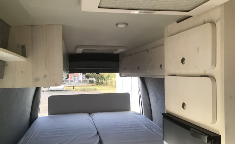 Camping-car Renault Bus 2p de 2013