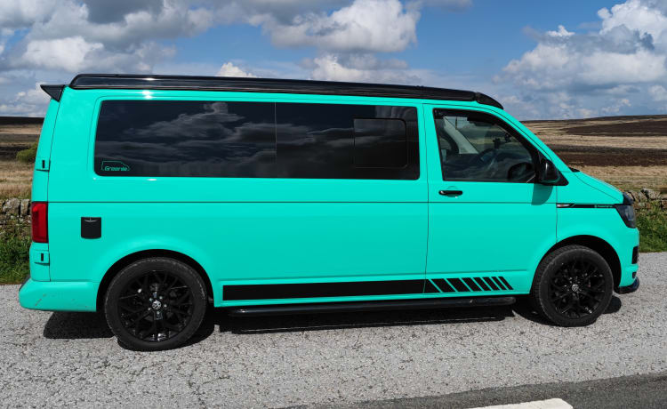 GREENIE – 4 Schlafplätze GREENIE ! VW WOHNMOBIL T6 2.0 Tdi (2018).