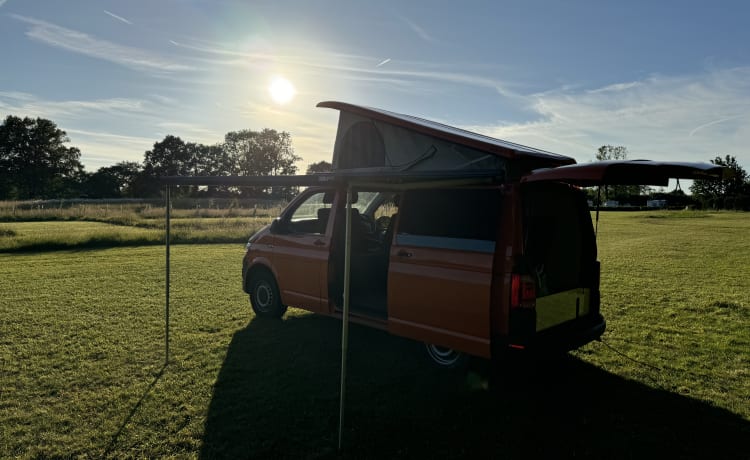 Van Tropez – New Conversion! Automatic VW Transporter w/5 seats