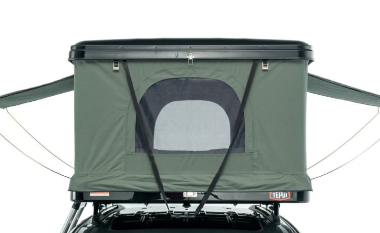 Compacte bestelwagen + thule daktent 