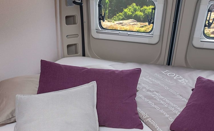 Globus – Well-equipped, cozy bus camper with a unique view