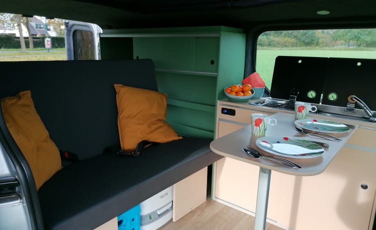 Camping-car Renault trafic de 2016