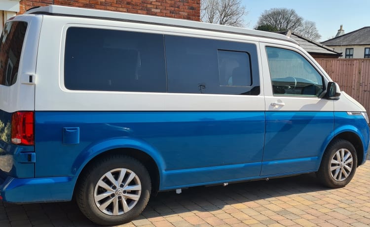 Drive 'The Falcon' - Our 4 berth *heated* T6.1 VW campervan 