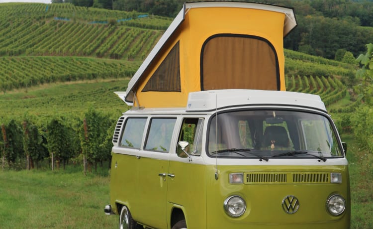 Sanseveria – Volkswagen T2b Westfalia Berlin '77