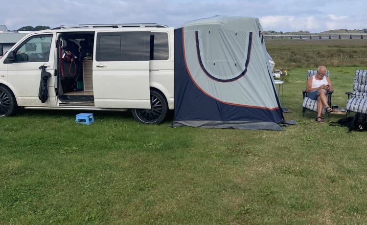 Salty sea dog  – 4 berth Volkswagen bus from 2012