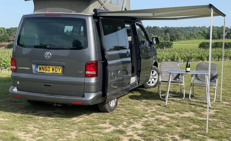 Phoebe – 2010 VW California 4-Bett-Wohnmobil