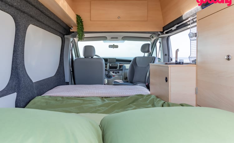 Bel camper compatto del 2010