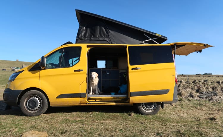 Bumble – Bumble, de perfecte camper om Orkney te verkennen