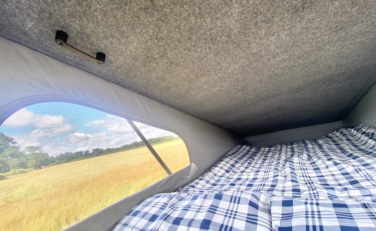 Yorkie Pud – YorKamper -  2021 VW Transporter 4 berth