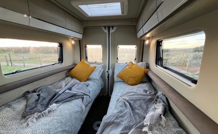 Wee Beastie – Autobus Roller Team a 2 posti letto del 2019