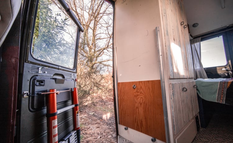 Pablo – Oldtimer brandweerbus & off grid camper