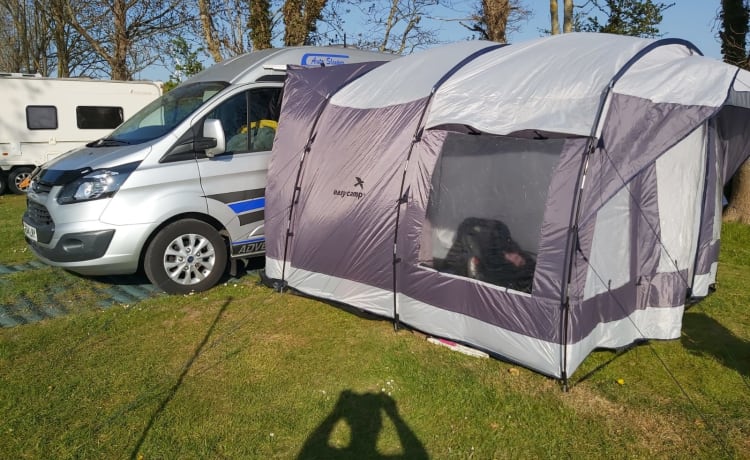 Daisy – Ford Transit Campervan mit hohem Dach