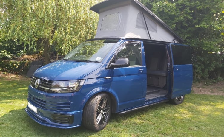 Blue – CAMPER 2019 VW TRANSPORTER