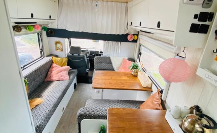 Wilma – Beautifully pimped Fiat Burstner Alcove Camper, 5 pers.