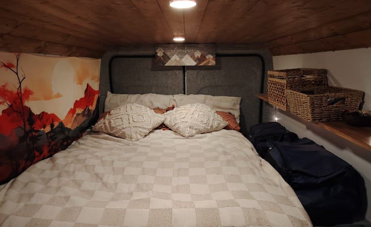 The Clamber Camper – Adventure Van, lit double fixe, nombreux rangements 