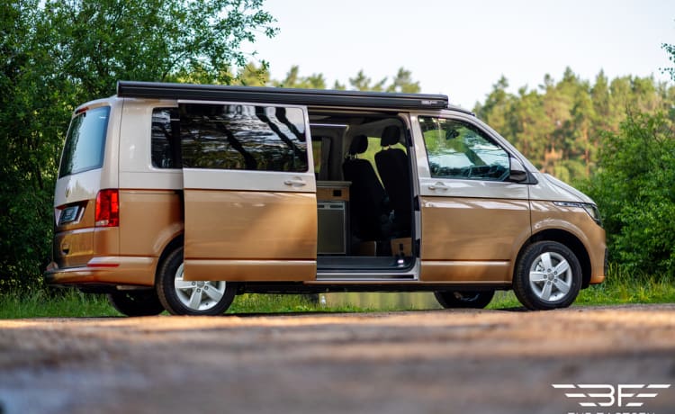 Volkswagen campervan tot 4 personen - Nieuw!
