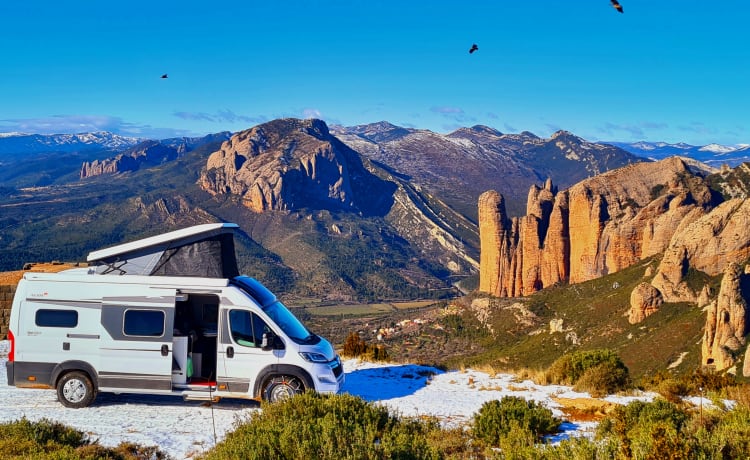 Ongi – Van equipped for 4 people with pop-up roof