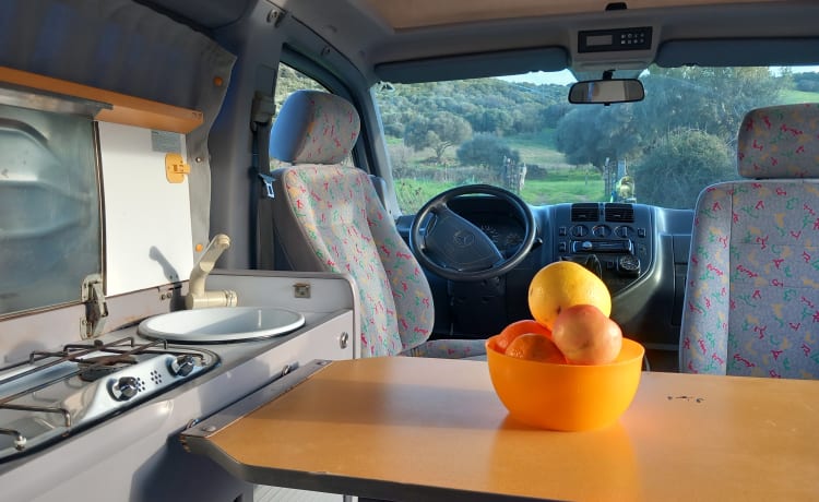 VANTASTIK RENTAL CAMPERVAN – MERCEDES MARCO POLO - VANTASTIK HUURCAMPER