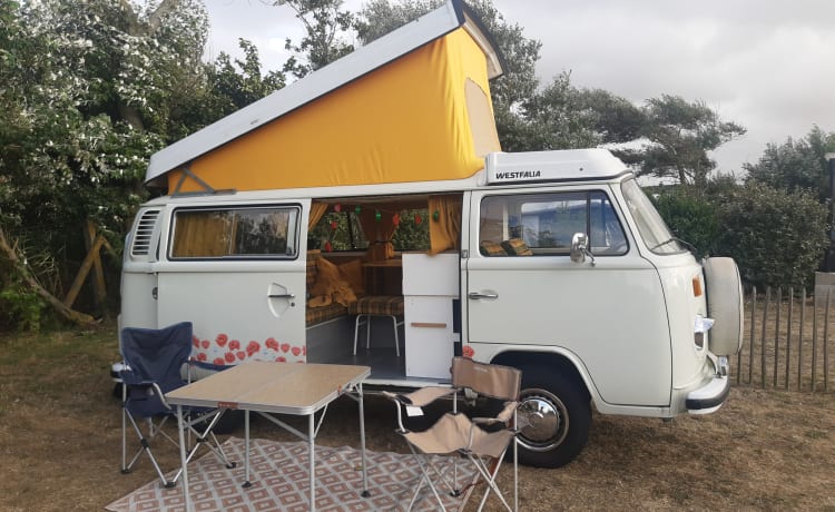 T2B Westy – miete einen original hippie bus westfalia camper!!