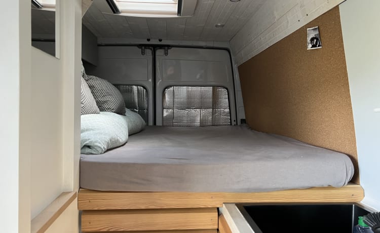 Herbert – Camper // Mercedes Sprinter