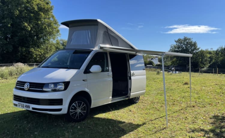 Honey – VW T6 - Conversione professionale 2021