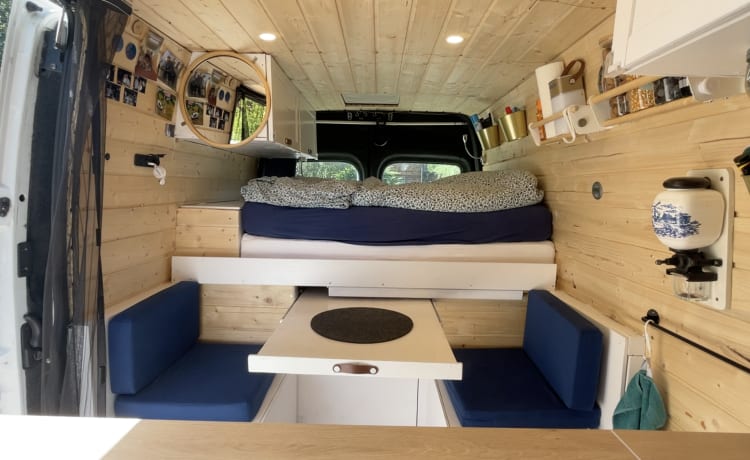 Ole – Lovingly converted camper