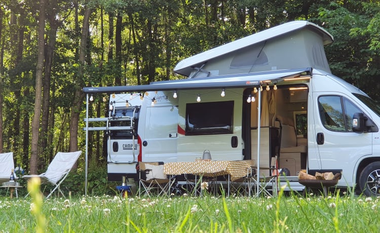 Burstner Campeo campervan – Nieuwe (2021), luxe & goed uitgeruste 4p Bürstner buscamper met hefdak