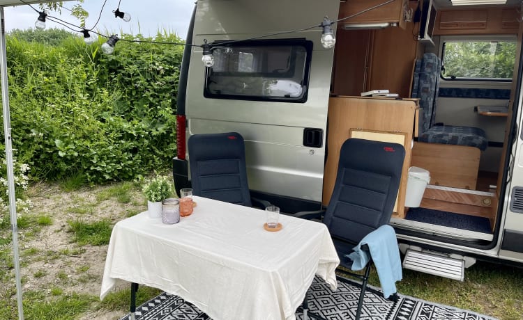 Ted – Camper compatto Fiat Globescout (3 posti)