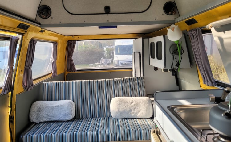 CHICO – cozy, neat, canary yellow oldtimer VW T3 for rent!