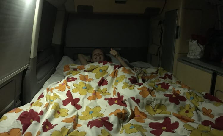 Camping-car Volkswagen T5 de 2008