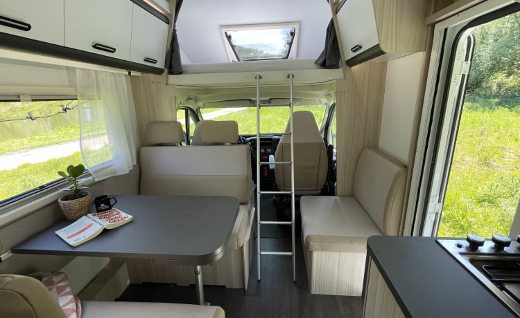 Queen G – Nieuwe en ruime 6-persoons alkoofcamper