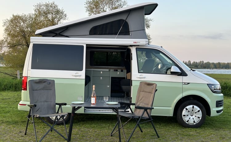 Olaf – Volkswagen Transporter T6 4 places rétro-vert avec toit relevable