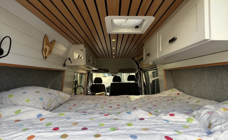 Hank the Van – Mercedes Sprinter di lusso fuori rete