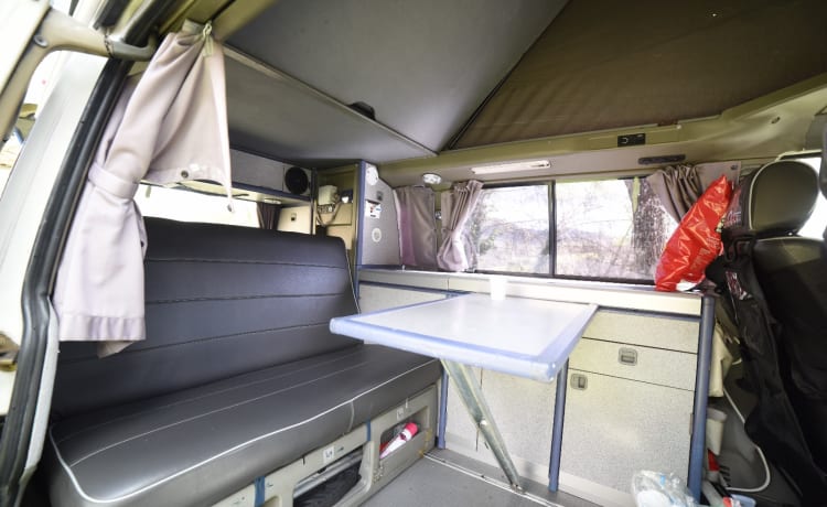 Rino il campeRino – Volkswagen T4 westfalia california