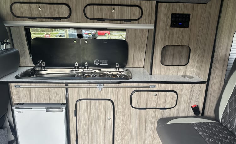 Camper van Dijk – Camper Volkswagen a 4 posti letto del 2017