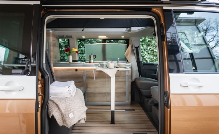 Dutch Nomad Van  – NOUVEAU! VW California Ocean 6.1 complet et luxueusement équipé.