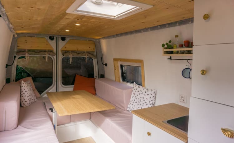 Vanneke – Veelzijdige camperbus met groot bed