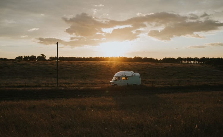 Ms. Paddy – Camper vintage Mercedes Westfalia 🚌 🏄‍♂️ ⛱ con attrezzatura completa