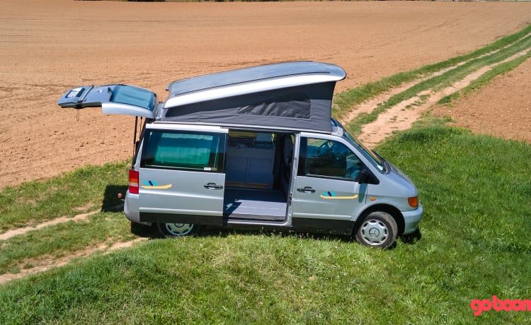 Ale – Mercedes Westfalia Vito Marco Polo