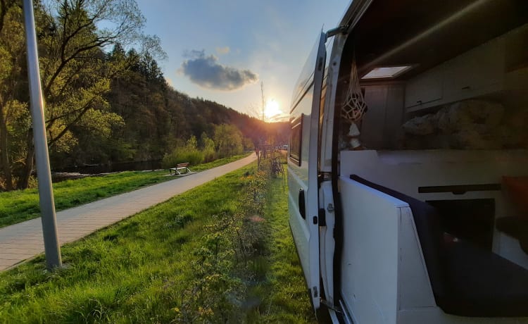 Cateautje – Fiat Ducato 2p très bien équipé de 2011