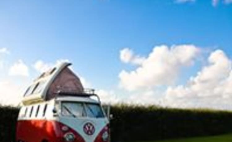 Barbarella – Camper Volkswagen a 4 posti letto del 1967