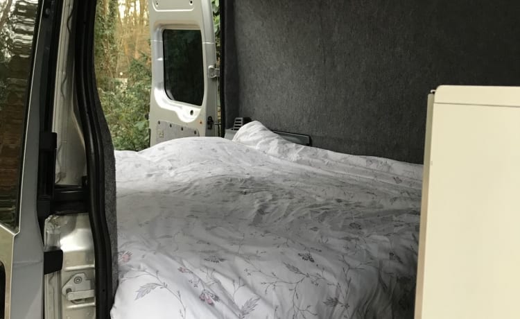 Camper Ford Transit