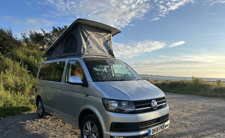 Luna – Luna - Nieuw omgebouwde luxe VW campervan