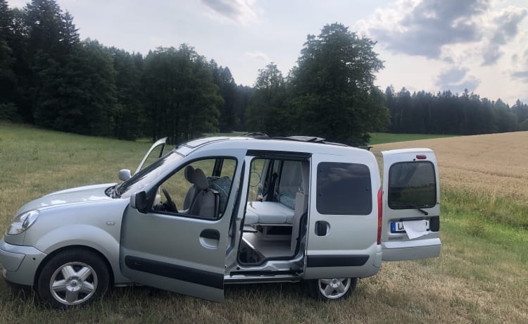 Willi – Vermiete Renault Kangoo Minicamper Eigenumbau