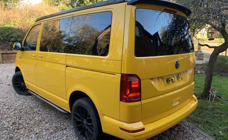 Herbert – 5 berth Volkswagen campervan from 2017